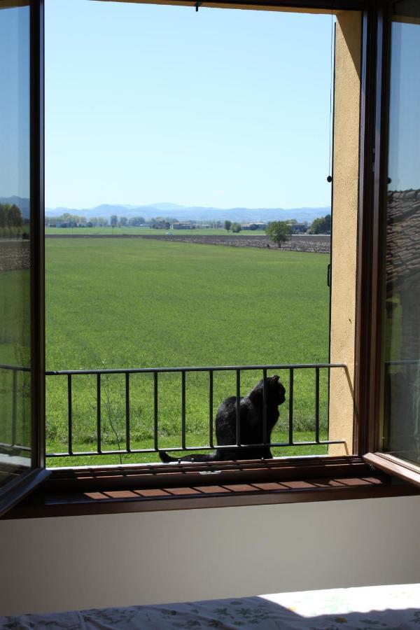 La Casa Dei Gatti Acomodação com café da manhã Soragna Exterior foto